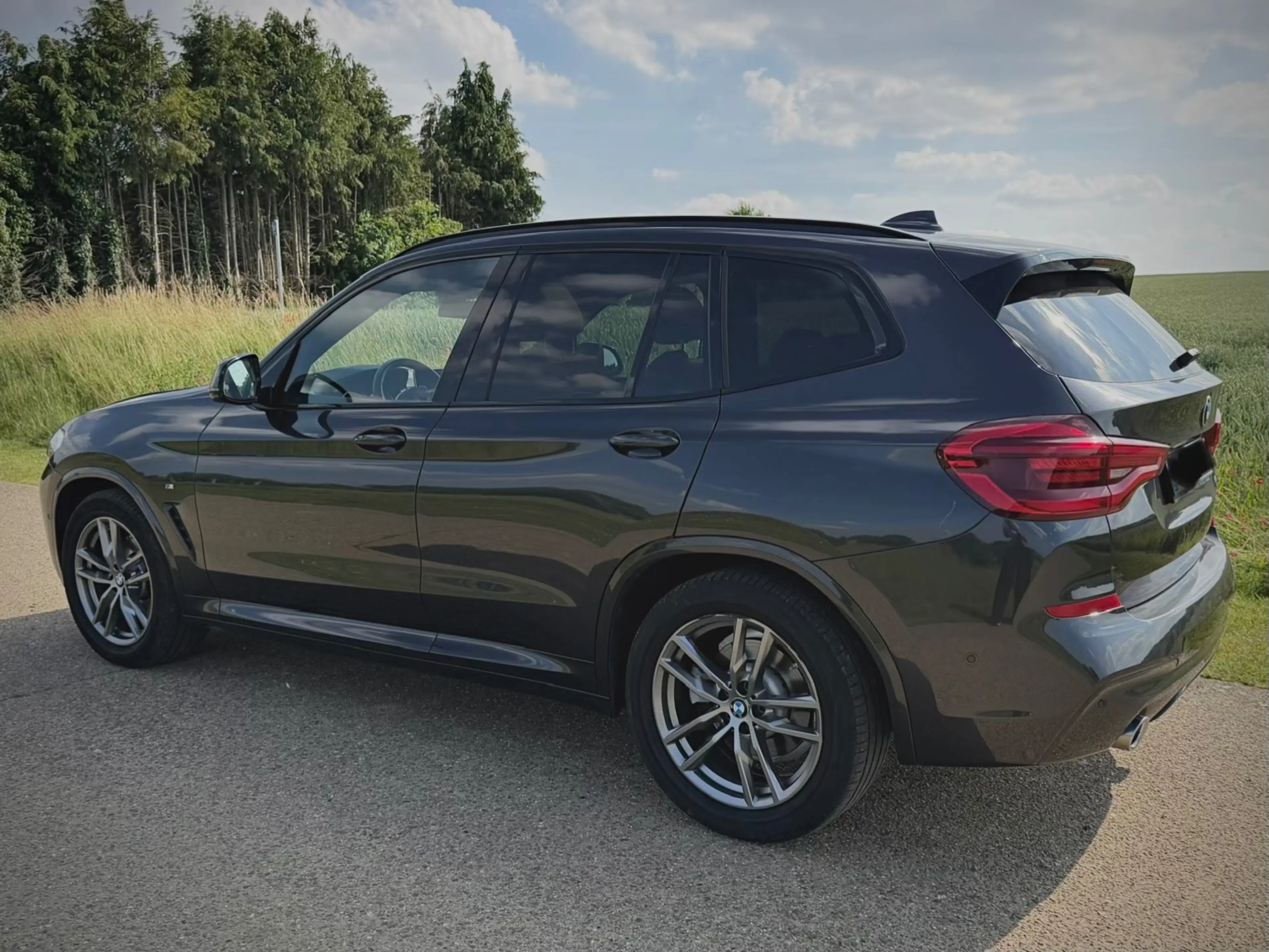 BMW X3 X3 xDrive20l Pack M — photo 8