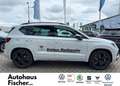 CUPRA Ateca 2.0 TSI 4Drive Weiß - thumbnail 8