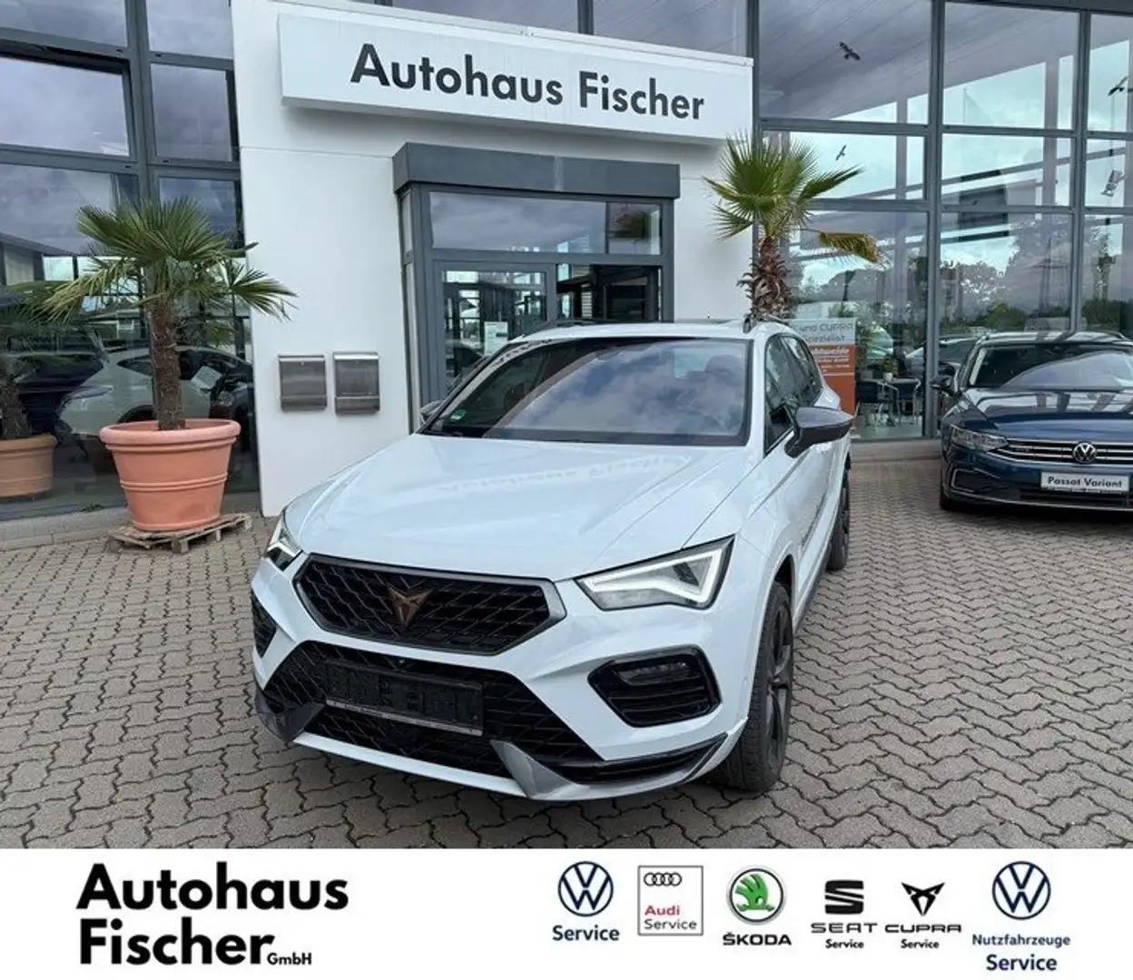 CUPRA Ateca 2.0 TSI 4Drive Weiß - 1