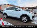 Kia Sportage Dream Team 2WD-NAVI-TEMP-SHZG-MFL-ALU- Weiß - thumbnail 7