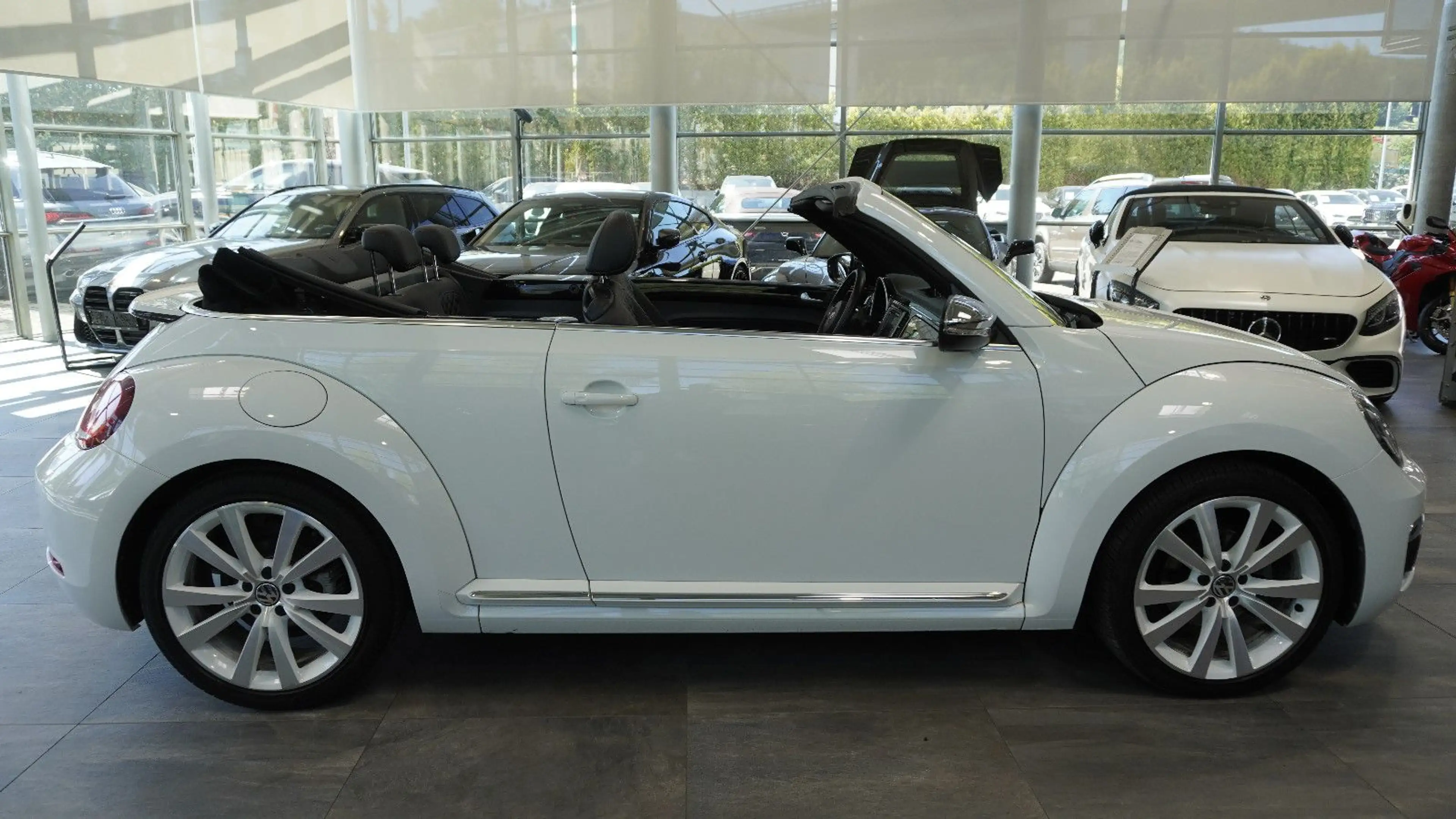 Volkswagen Beetle Cabriolet Exclusive Design*LEDER*CAM* — photo 10