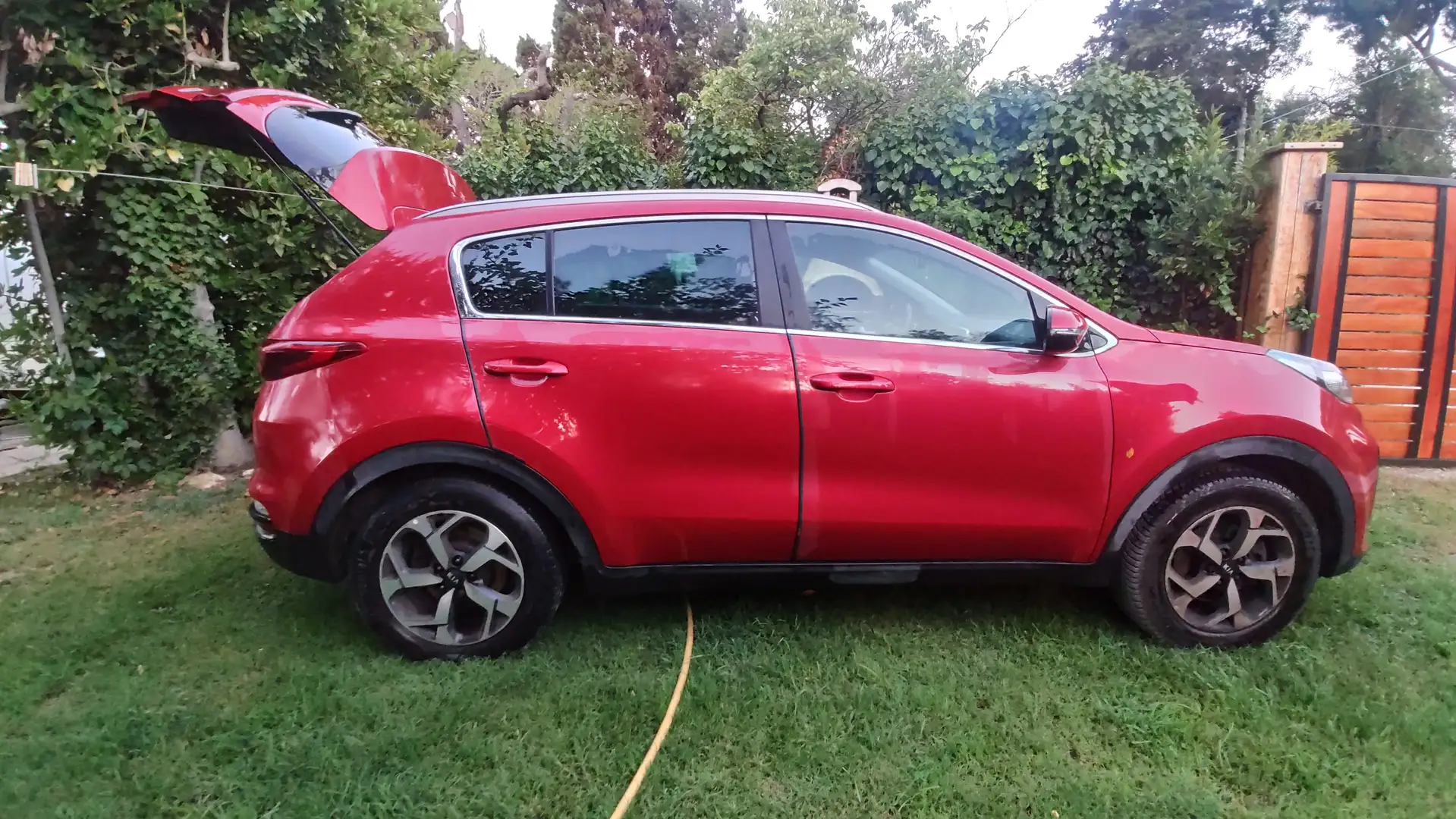 Kia Sportage Sportage IV 2018 1.6 ecogpl Business  2wd 126cv Rosso - 1