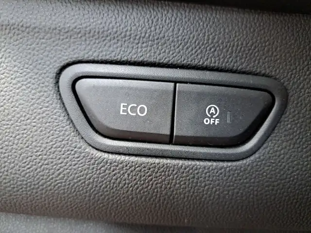 Renault Kadjar view 10