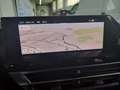 Citroen C4 e-C4 motore elettrico 136 CV Shine Bianco - thumbnail 13