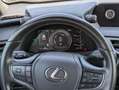 Lexus UX 250h HYBRID BUSINESS 2.0cc 152cv SAFETYPACK NAVI TELECA Grigio - thumbnail 9