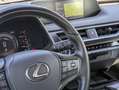 Lexus UX 250h HYBRID BUSINESS 2.0cc 152cv SAFETYPACK NAVI TELECA Grigio - thumbnail 11