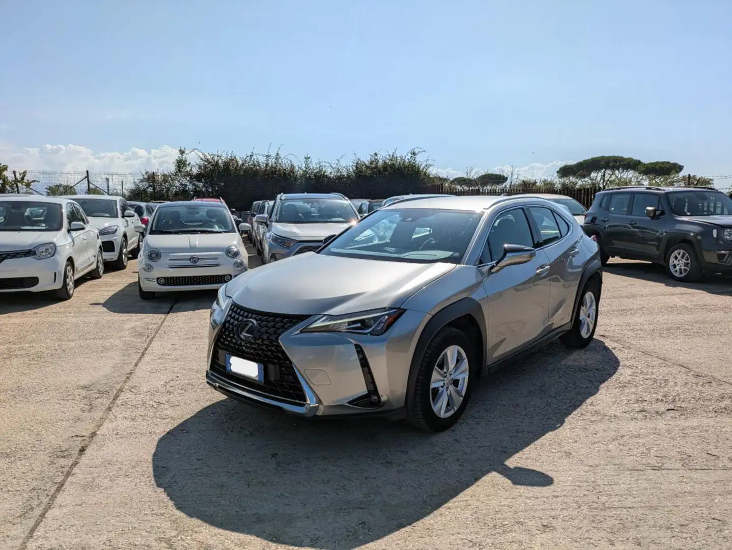 Lexus UX 250h HYBRID BUSINESS 2.0cc 152cv SAFETYPACK NAVI TELECA Grigio - 1