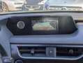 Lexus UX 250h HYBRID BUSINESS 2.0cc 152cv SAFETYPACK NAVI TELECA Grigio - thumbnail 15