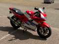 Honda CBR 600 599 Rood - thumbnail 6