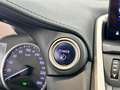 Lexus NX 300 300h Business Navigation 2WD Blanc - thumbnail 17