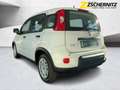 Fiat Panda 1.0 Pandina Cross PDC+Facelift+SpurH Wit - thumbnail 2