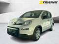 Fiat Panda 1.0 Pandina Cross PDC+Facelift+SpurH Wit - thumbnail 1