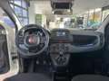Fiat Panda 1.0 Pandina Cross PDC+Facelift+SpurH Wit - thumbnail 9