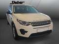 Land Rover Discovery Sport 2.0 TD4 Pure *Navi*Sitzheizung* Weiß - thumbnail 3
