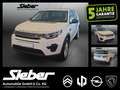 Land Rover Discovery Sport 2.0 TD4 Pure *Navi*Sitzheizung* Weiß - thumbnail 1