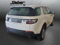 Land Rover Discovery Sport 2.0 TD4 Pure *Navi*Sitzheizung* Weiß - thumbnail 4