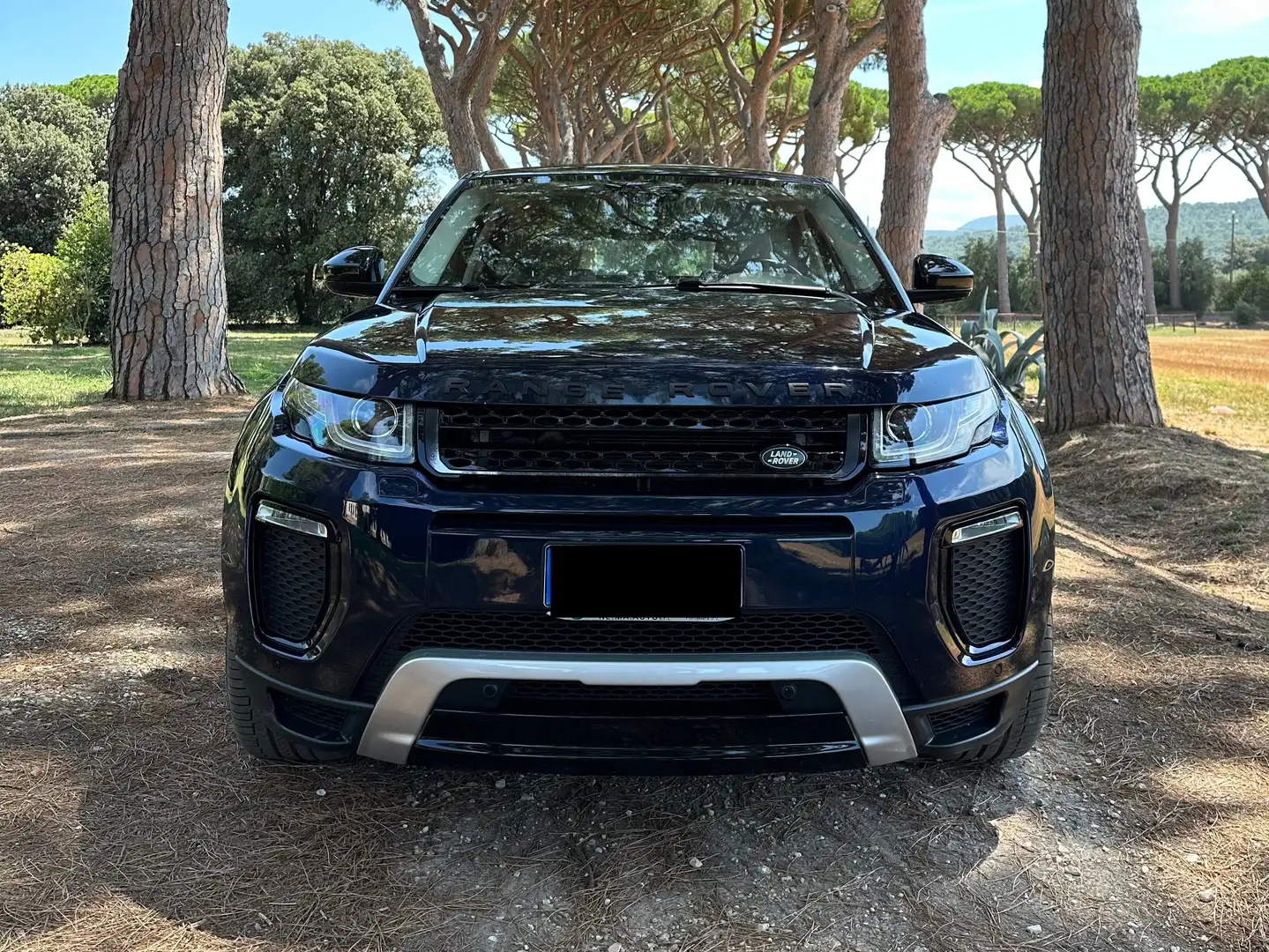 Land Rover Range Rover Evoque 2019 2.0 td4 HSE Dynamic 150cv Blu/Azzurro - 1