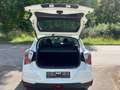 SsangYong Tivoli Tivoli 1.2 T-GDi 2WD Amber Wit - thumbnail 13