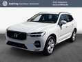 Volvo XC60 XC60 B4 B Geartronic Momentum Pro AHK MET Blanco - thumbnail 1