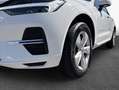Volvo XC60 XC60 B4 B Geartronic Momentum Pro AHK MET Blanco - thumbnail 4