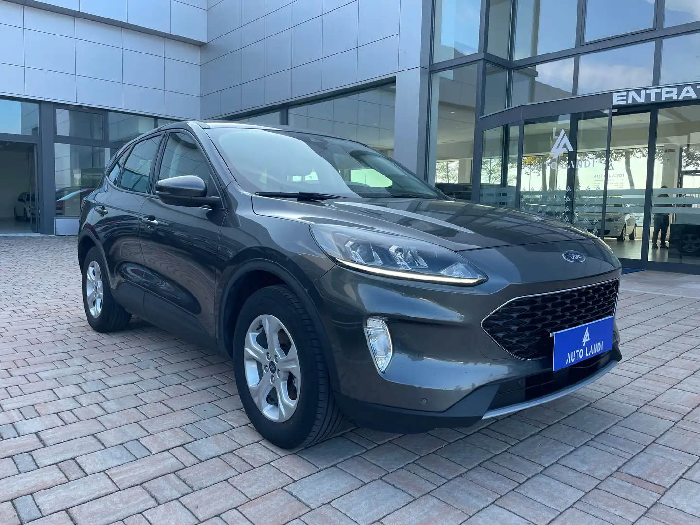 Ford Kuga Kuga 1.5 ecoblue Titanium Business 2wd 120cv auto Gris - 2