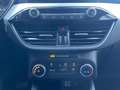 Ford Kuga Kuga 1.5 ecoblue Titanium Business 2wd 120cv auto Gris - thumbnail 18