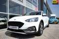 Ford Focus Wagon 1.0 EcoBoost Active X Camera Sensor sturing Wit - thumbnail 1