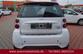 smart forTwo fortwo coupe electric drive Weiß - thumbnail 5