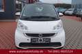 smart forTwo fortwo coupe electric drive Weiß - thumbnail 2