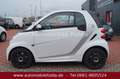 smart forTwo fortwo coupe electric drive Weiß - thumbnail 3