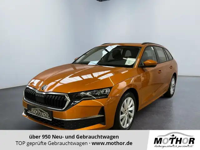 2024 Skoda Octavia in Orange for sale
