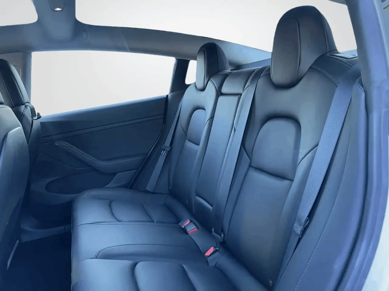 Tesla Model 3 photo Tesla Model 3