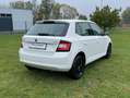 Skoda Fabia 1.0 TSI DSG Ambition Blanco - thumbnail 4