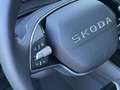 Skoda Kamiq 1.0TSI Selection RfK Beh.Fronts LED Blu/Azzurro - thumbnail 10