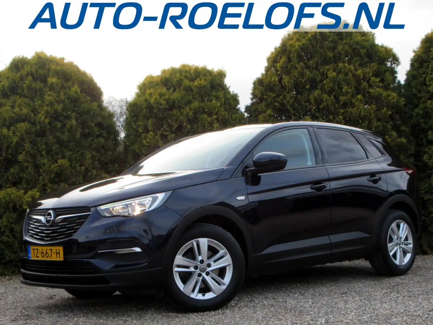 Opel Grandland X 1.2 Turbo Online Edition *Trekhaak*Navi* Blauw - 1