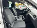 Volkswagen Tiguan 2,0 TDI *R-Line*1.Besitz*ACC*RFK*Navi*Virtaul* Weiß - thumbnail 18