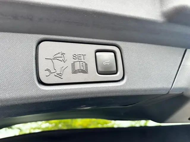 Ford Mustang Mach-E view 10