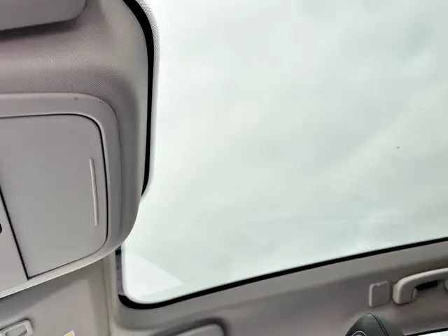 Ford Mustang Mach-E view 11
