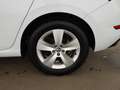 Skoda Scala 1.5 TSI Style Aut LED SKY DIGI-TACHO TEMP Білий - thumbnail 23