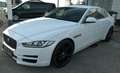 Jaguar XE 20d Prestige Aut. Weiß - thumbnail 3