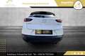 Mazda CX-3 G120 Revolution // HEAD-UP // NAVI // LEDER // AHK Weiß - thumbnail 13