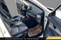 Mazda CX-3 G120 Revolution // HEAD-UP // NAVI // LEDER // AHK Weiß - thumbnail 16