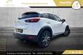 Mazda CX-3 G120 Revolution // HEAD-UP // NAVI // LEDER // AHK Weiß - thumbnail 14