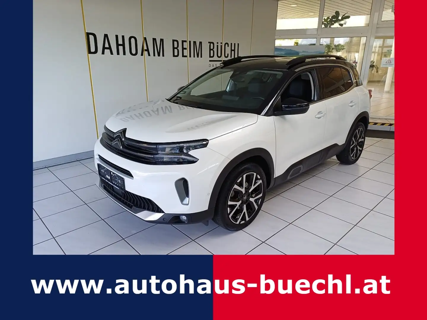 Citroen C5 Aircross BlueHDI 130 S&S EAT8 Shine Blanc - 1