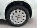 Fiat Punto Punto II 2003 5p 1.2 Classic Active KM 58490/TOP Bianco - thumbnail 6