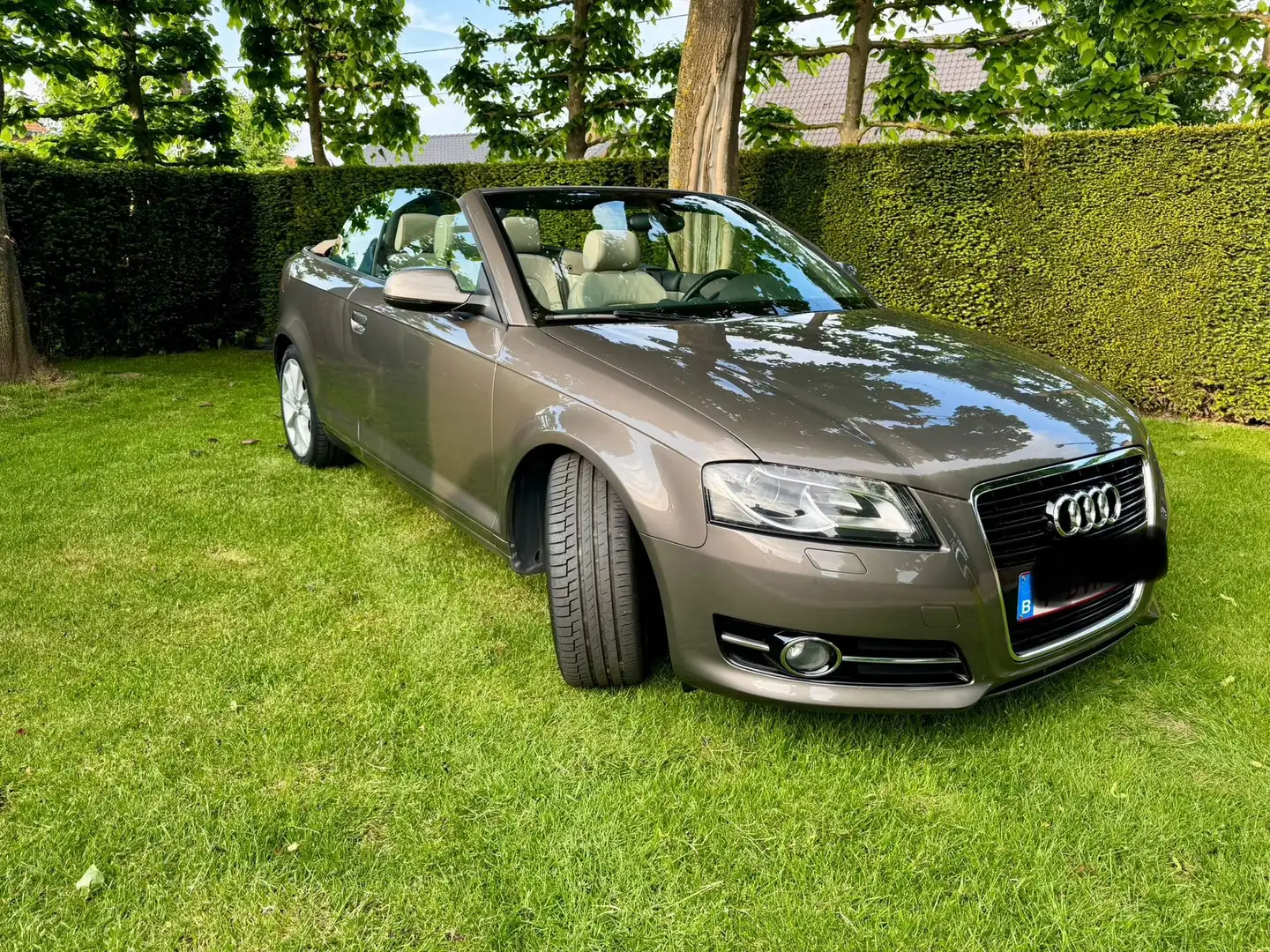 Audi A3 audi A3 cabrio 1.4tdi Bruin - 2