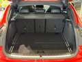 BMW X4 M *DisplayKey*Sitzblftng*Memory*H/K*HuD*360°* Rot - thumbnail 5
