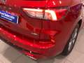 Ford Kuga ST-Line 2.5 Duratec FHEV 140kW Auto Rouge - thumbnail 18