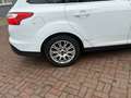 Ford Focus Wagon 1.6 TDCI ECOnetic Lease Titanium bj 2013 apk Weiß - thumbnail 12