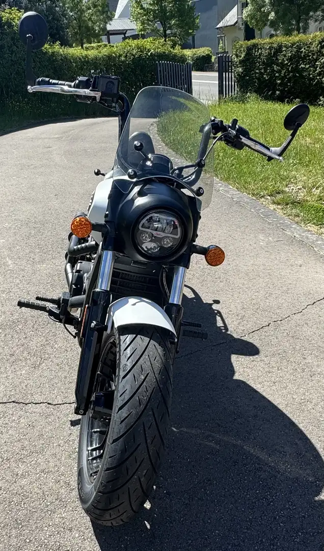 Indian Scout Bobber - 2